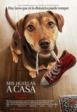 Mis Huellas a Casa